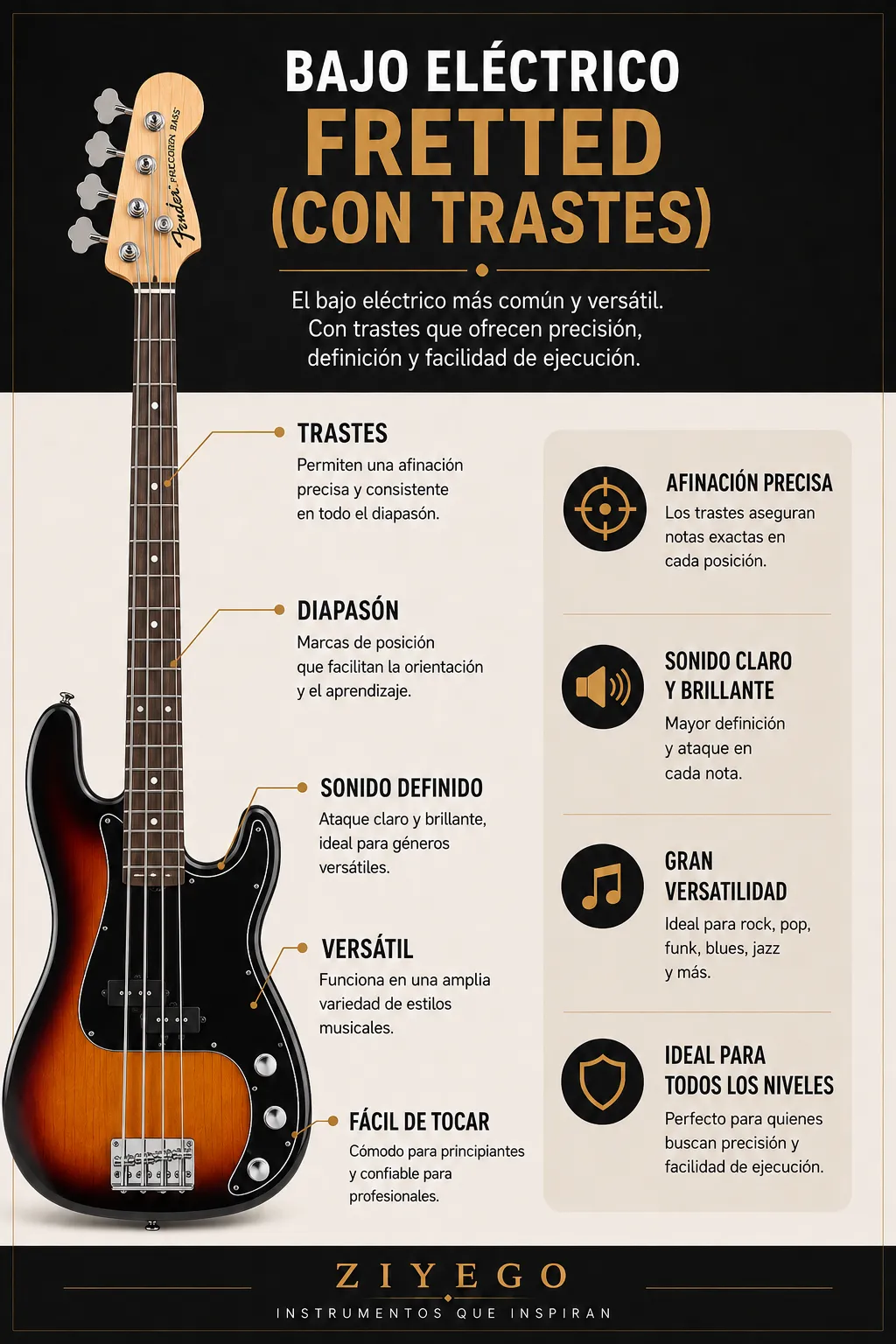 Bajo fretted Bajo fretted